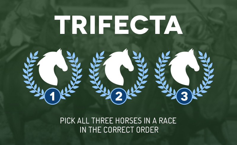 Trifecta horse racing bets - online sports betting tips
