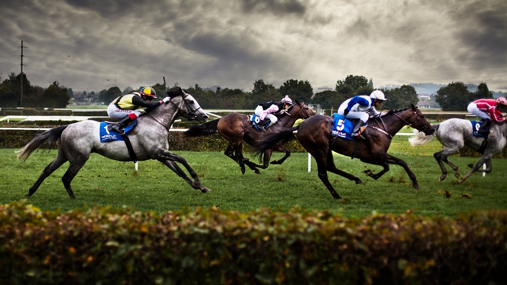 8 Tips for Horse Racing Betting for Beginners - Sports betting online