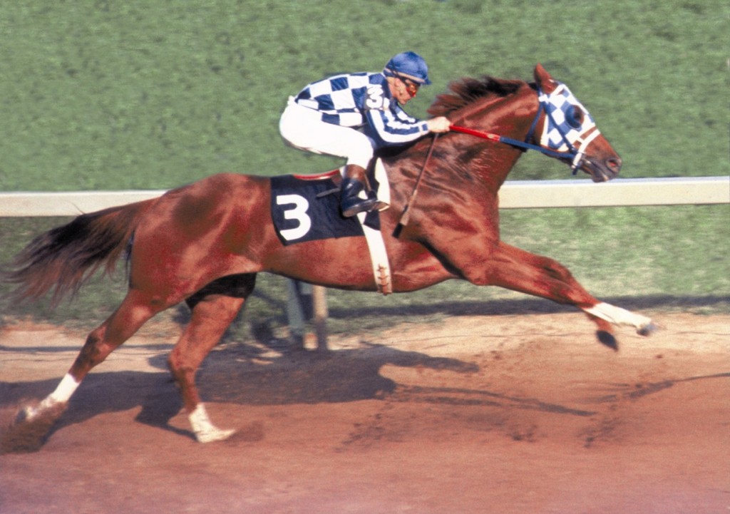 Take a Look at the Most Famous Racehorses in History!